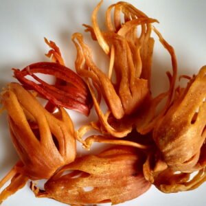 Premium Kashmiri Javtri (Mace) | 100% Natural | Handpicked & Sun-Dried (1kg)